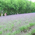 2010_Hokkaido_168.jpg