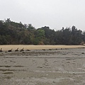 Kinmen_20110430210.jpg