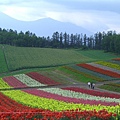 2010_Hokkaido_141.jpg