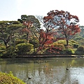 Tokyo_20101128_080.jpg