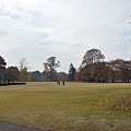 Tokyo_20101126_109.jpg