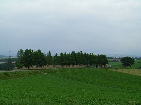 2010_Hokkaido_100.jpg