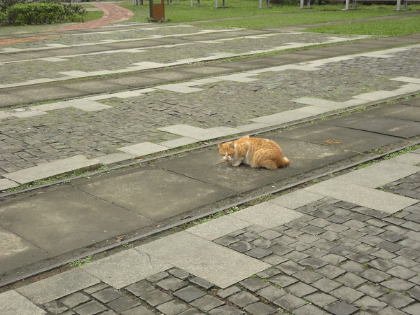 DSC01479
