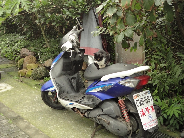 DSC01482