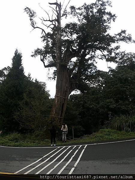 太平山包車旅遊