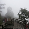 太平山包車旅遊