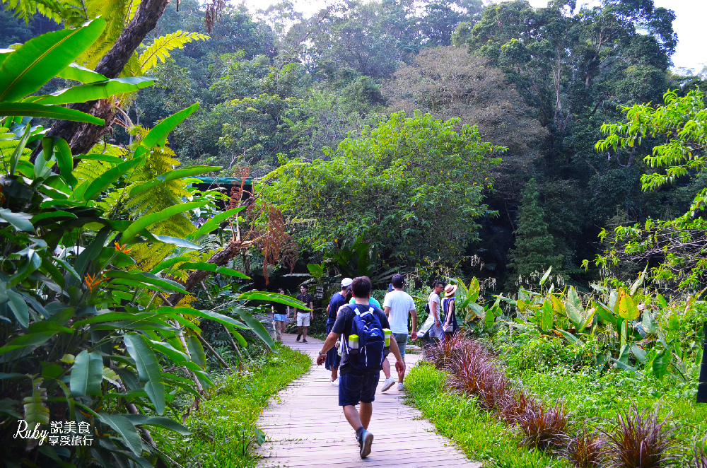 【新竹旅遊親子景點】綠世界生態農場 ，近距離接觸可愛動物，7