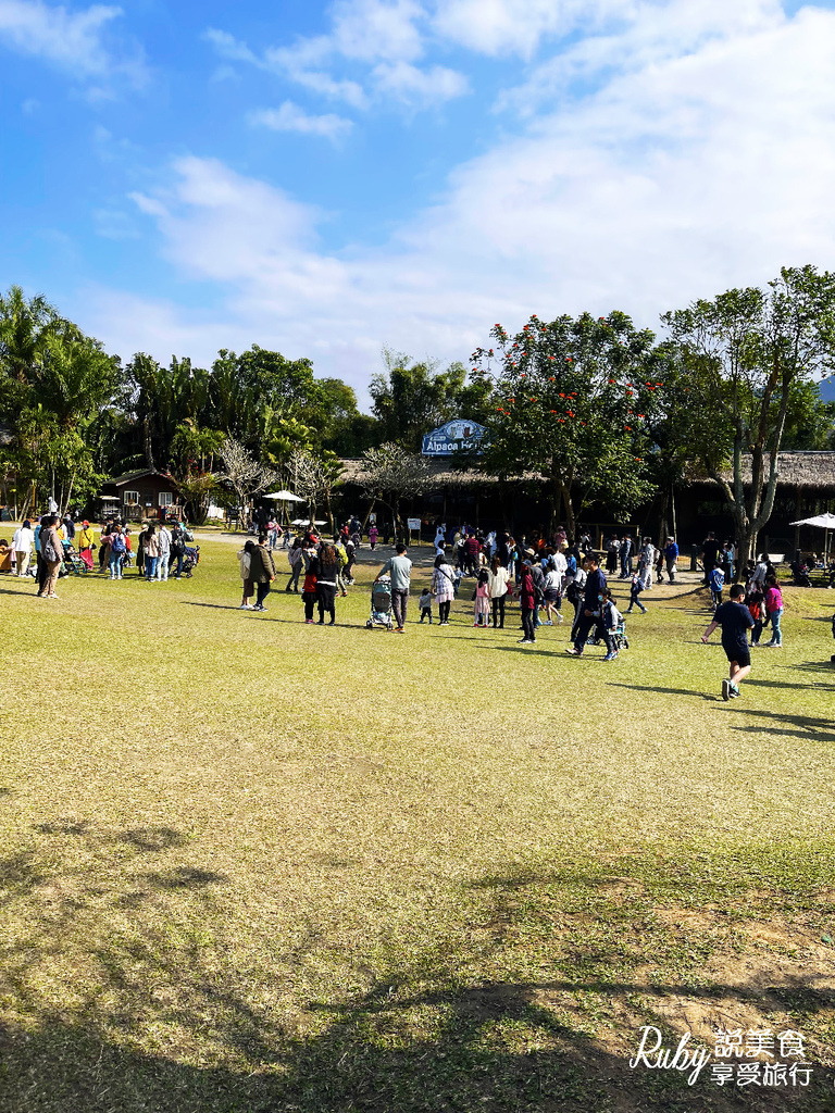 【新竹旅遊親子景點】綠世界生態農場 ，近距離接觸可愛動物，7