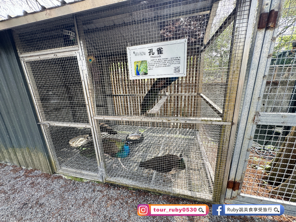 【宜蘭冬山鄉農場】水岸森林物語可愛動物園區，園區環境乾淨，工