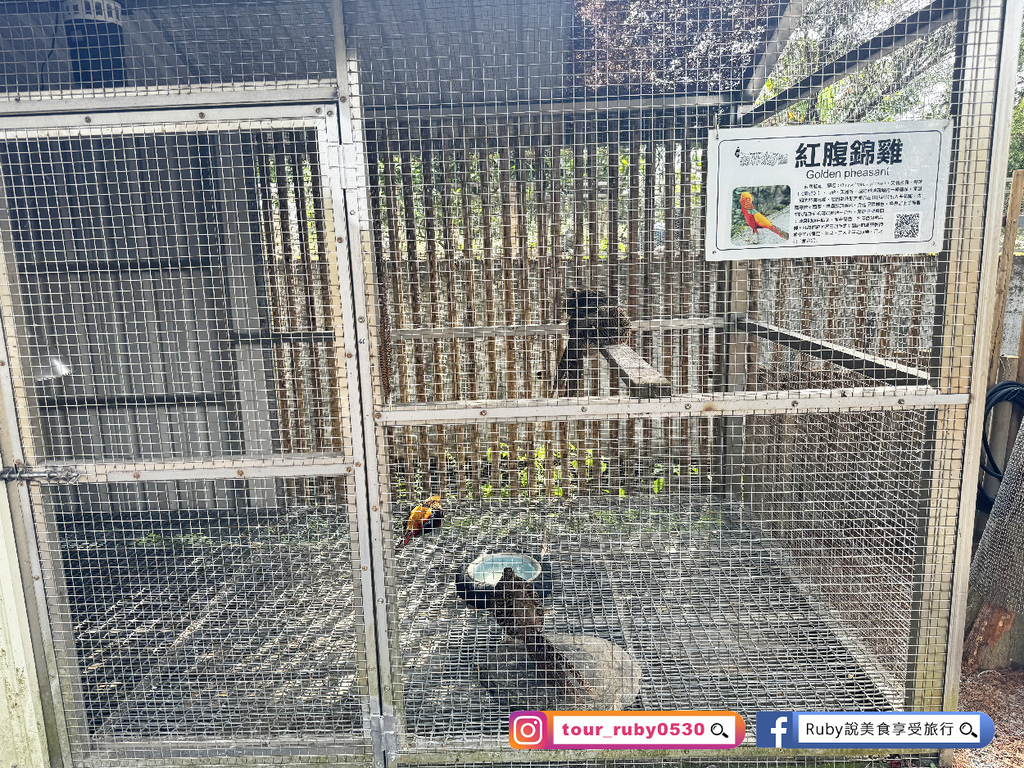 【宜蘭冬山鄉農場】水岸森林物語可愛動物園區，園區環境乾淨，工