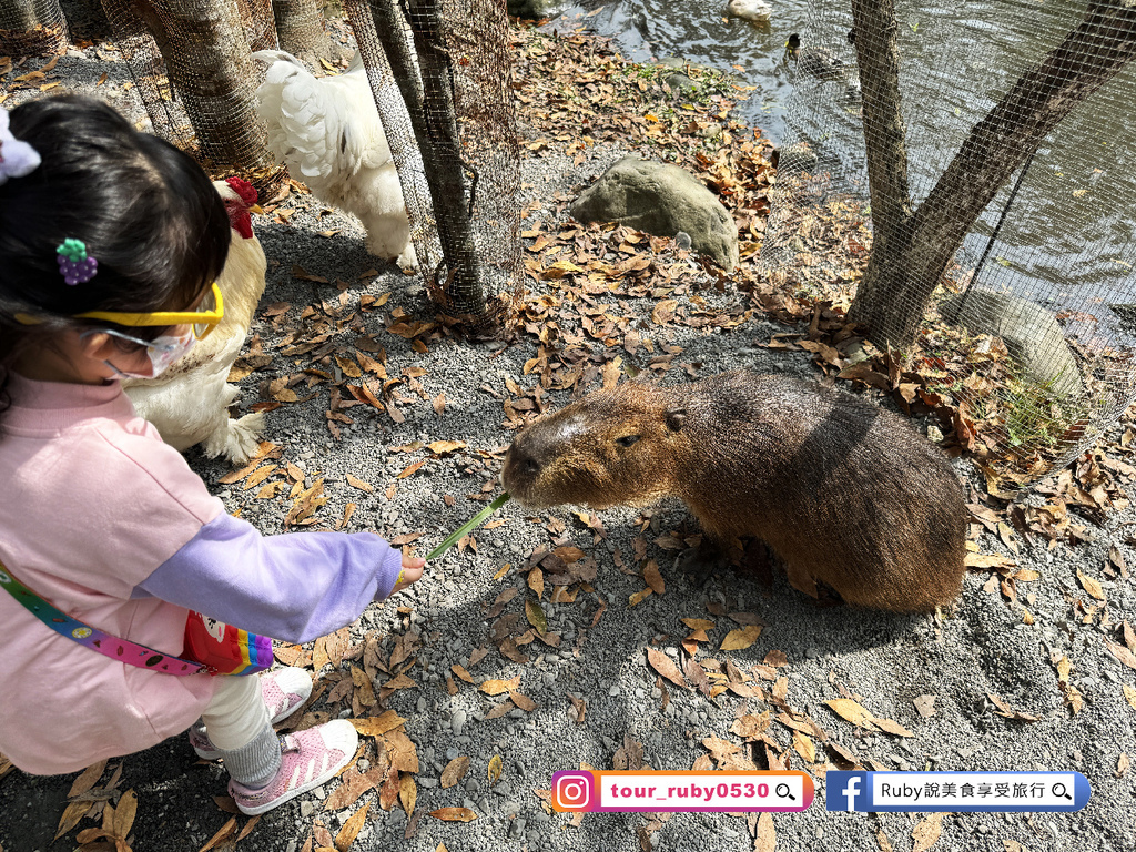 【宜蘭冬山鄉農場】水岸森林物語可愛動物園區，園區環境乾淨，工