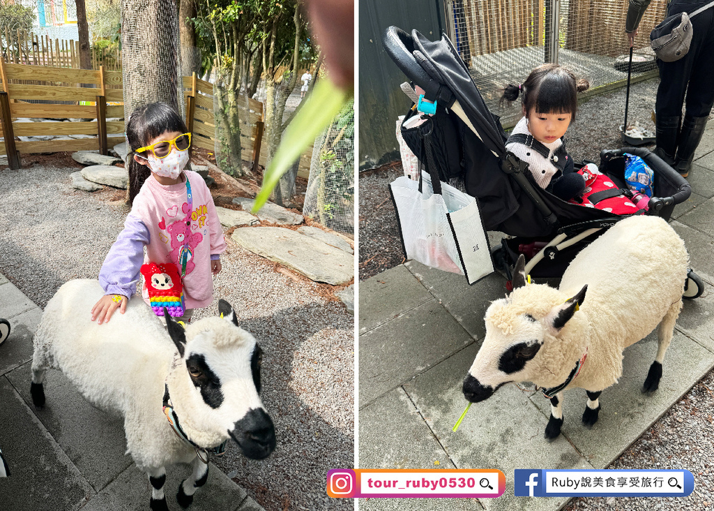 【宜蘭冬山鄉農場】水岸森林物語可愛動物園區，園區環境乾淨，工