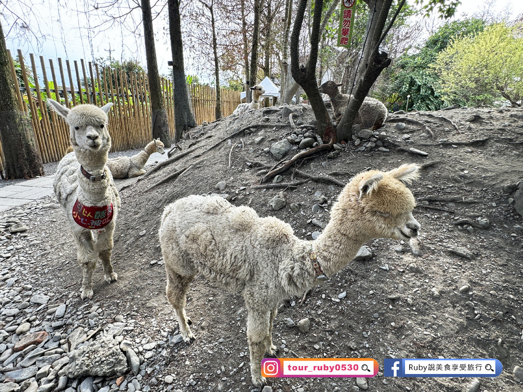 【宜蘭冬山鄉農場】水岸森林物語可愛動物園區，園區環境乾淨，工