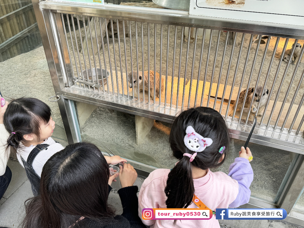 【宜蘭冬山鄉農場】水岸森林物語可愛動物園區，園區環境乾淨，工