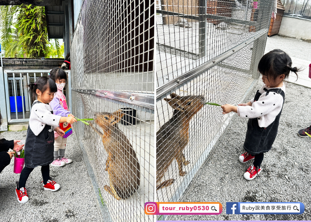 【宜蘭冬山鄉農場】水岸森林物語可愛動物園區，園區環境乾淨，工