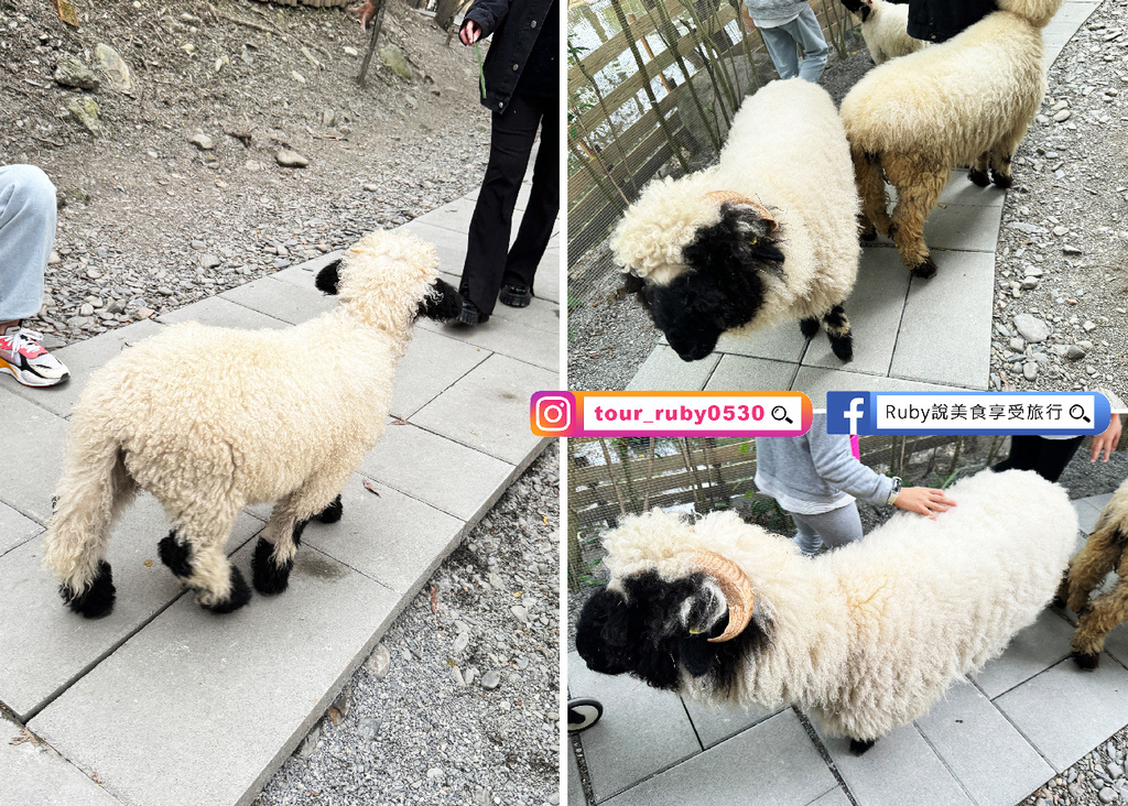 【宜蘭冬山鄉農場】水岸森林物語可愛動物園區，園區環境乾淨，工