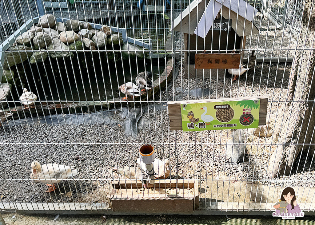 【台南親子農場】樹谷農場只需60元,園區許多付費遊樂設施,可 【台南親子農場】樹谷農場只需60元,園區許多付費遊樂設施,可