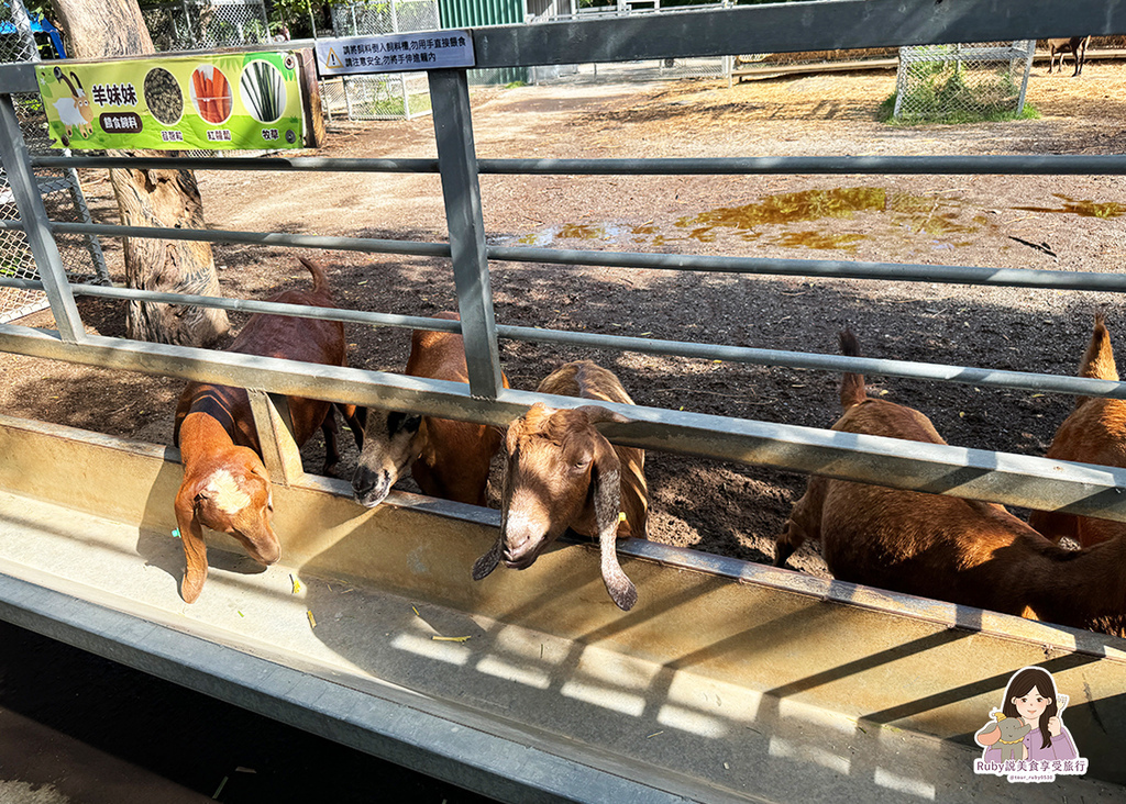 【台南親子農場】樹谷農場只需60元,園區許多付費遊樂設施,可 【台南親子農場】樹谷農場只需60元,園區許多付費遊樂設施,可