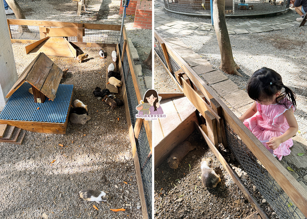 【台南親子農場】樹谷農場只需60元,園區許多付費遊樂設施,可 【台南親子農場】樹谷農場只需60元,園區許多付費遊樂設施,可