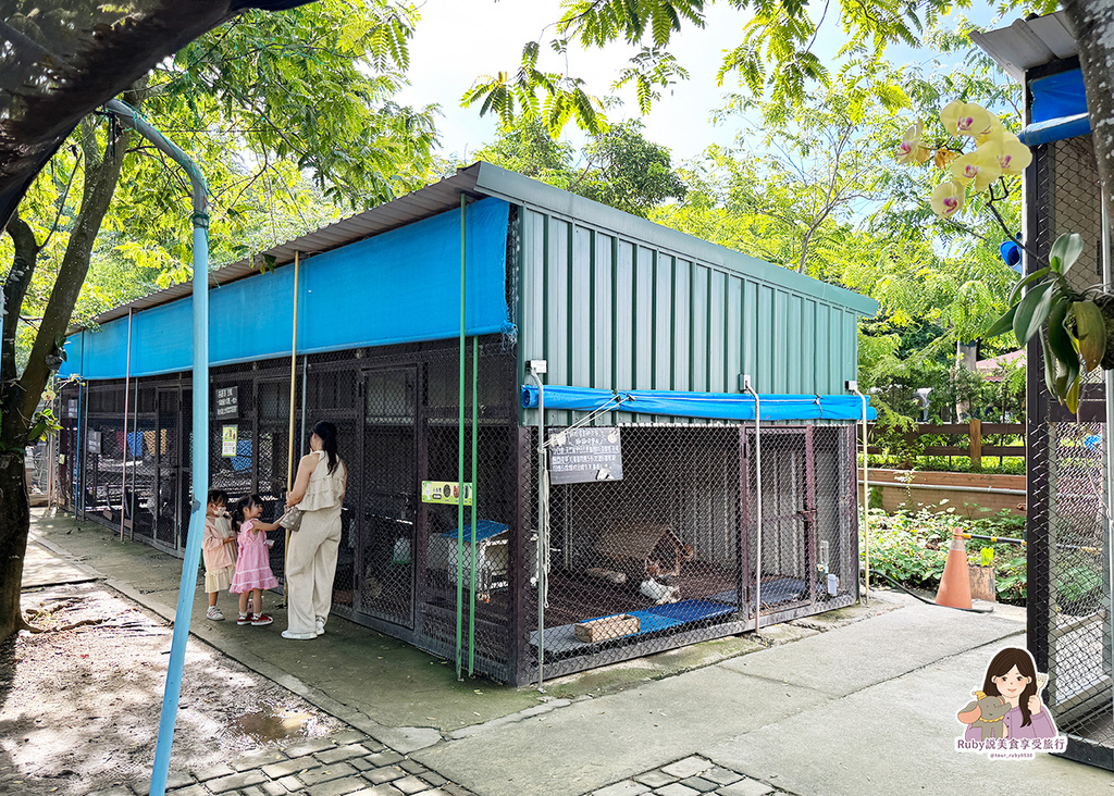 【台南親子農場】樹谷農場只需60元,園區許多付費遊樂設施,可 【台南親子農場】樹谷農場只需60元,園區許多付費遊樂設施,可