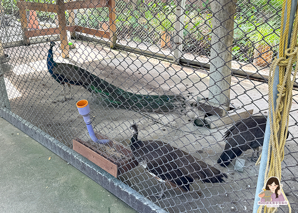 【台南親子農場】樹谷農場只需60元,園區許多付費遊樂設施,可 【台南親子農場】樹谷農場只需60元,園區許多付費遊樂設施,可