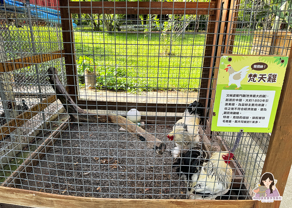 【台南親子農場】樹谷農場只需60元,園區許多付費遊樂設施,可 【台南親子農場】樹谷農場只需60元,園區許多付費遊樂設施,可