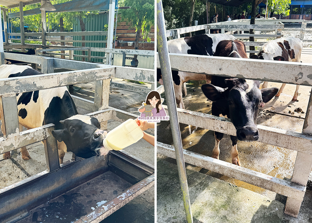 【台南親子農場】樹谷農場只需60元,園區許多付費遊樂設施,可 【台南親子農場】樹谷農場只需60元,園區許多付費遊樂設施,可