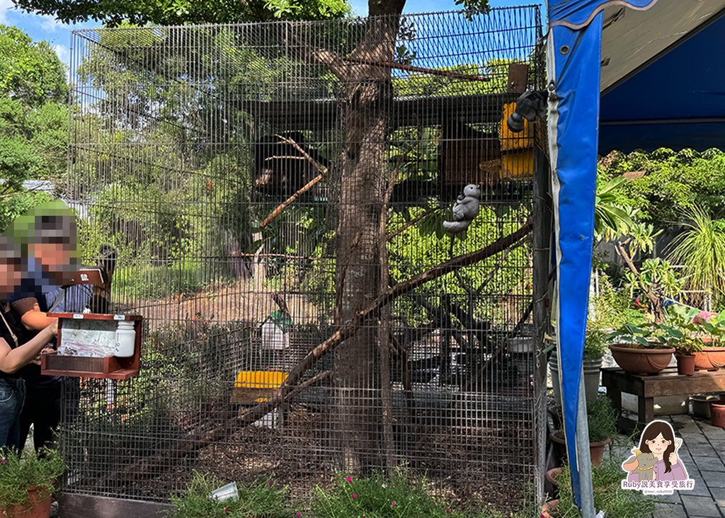 【台南親子農場】樹谷農場只需60元,園區許多付費遊樂設施,可 【台南親子農場】樹谷農場只需60元,園區許多付費遊樂設施,可