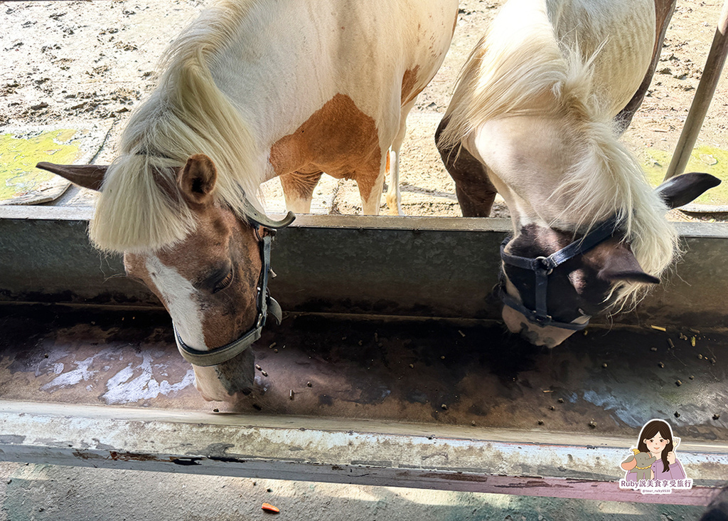 【台南親子農場】樹谷農場只需60元,園區許多付費遊樂設施,可 【台南親子農場】樹谷農場只需60元,園區許多付費遊樂設施,可