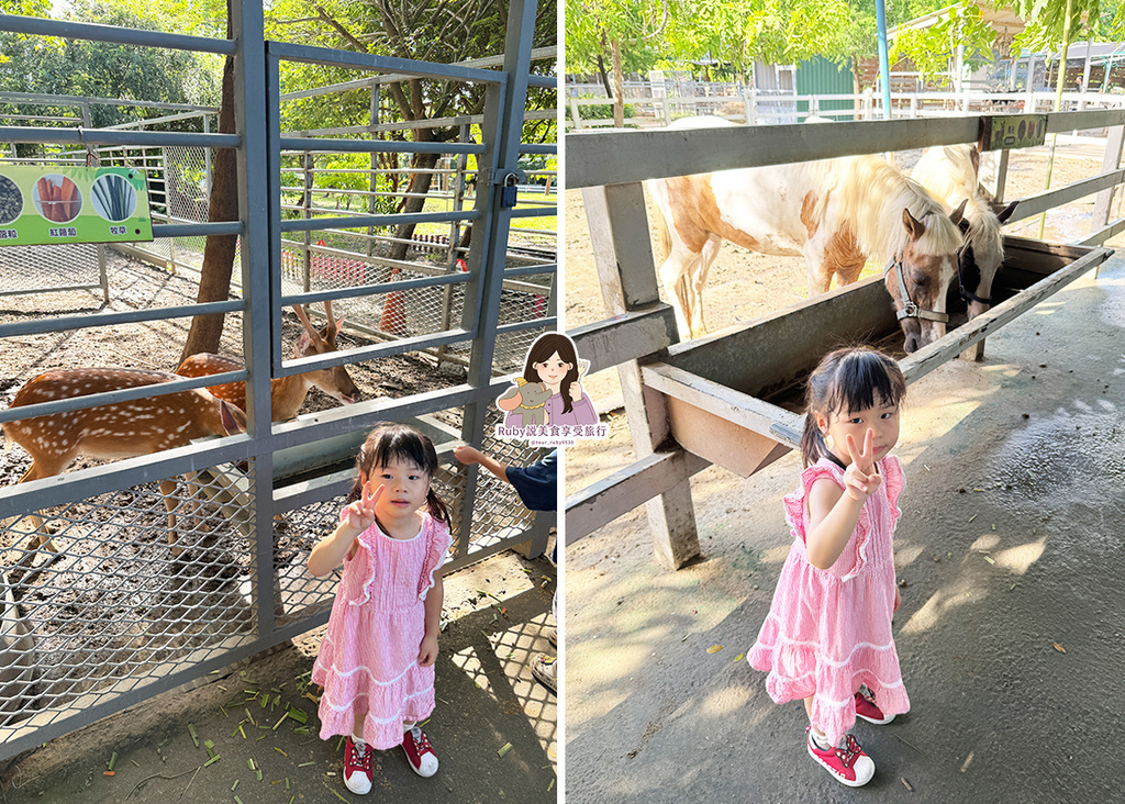 【台南親子農場】樹谷農場只需60元,園區許多付費遊樂設施,可 【台南親子農場】樹谷農場只需60元,園區許多付費遊樂設施,可