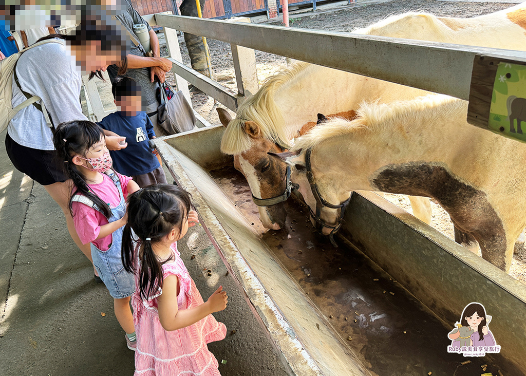 【台南親子農場】樹谷農場只需60元,園區許多付費遊樂設施,可 【台南親子農場】樹谷農場只需60元,園區許多付費遊樂設施,可