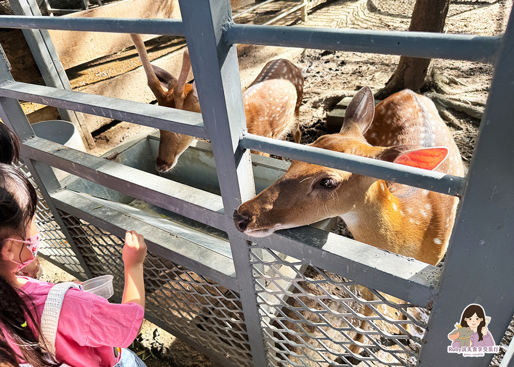 【台南親子農場】樹谷農場只需60元,園區許多付費遊樂設施,可 【台南親子農場】樹谷農場只需60元,園區許多付費遊樂設施,可