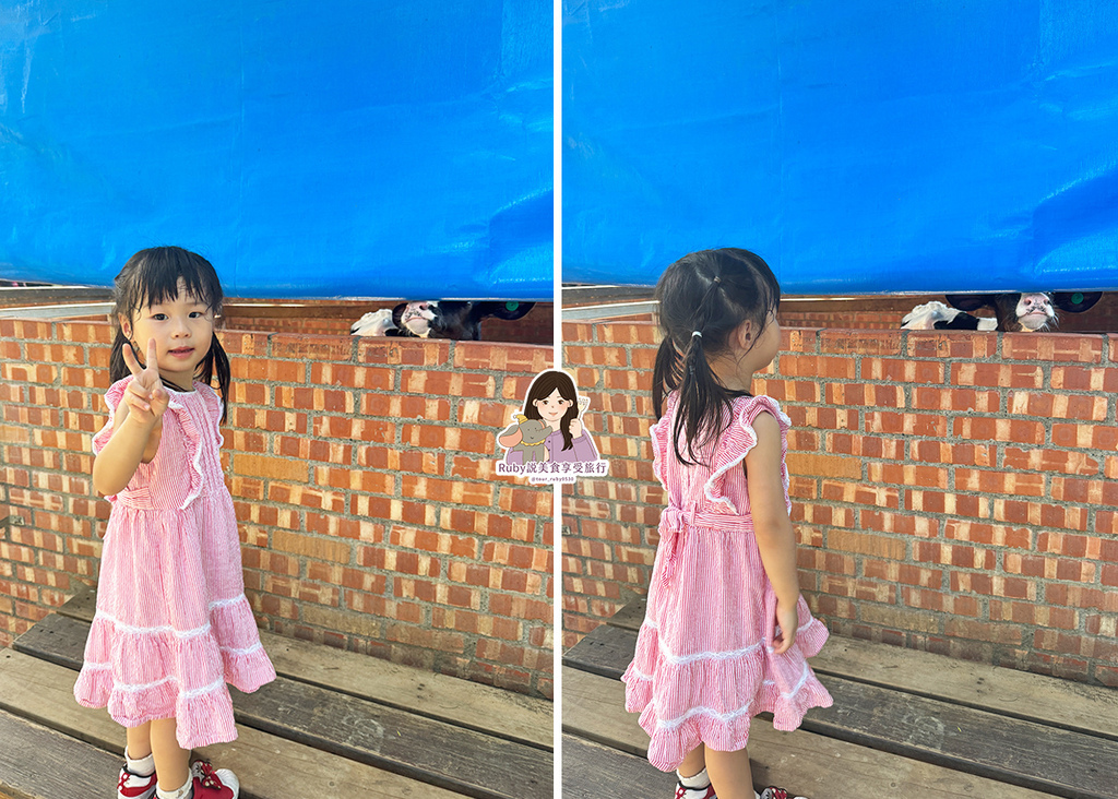 【台南親子農場】樹谷農場只需60元,園區許多付費遊樂設施,可 【台南親子農場】樹谷農場只需60元,園區許多付費遊樂設施,可