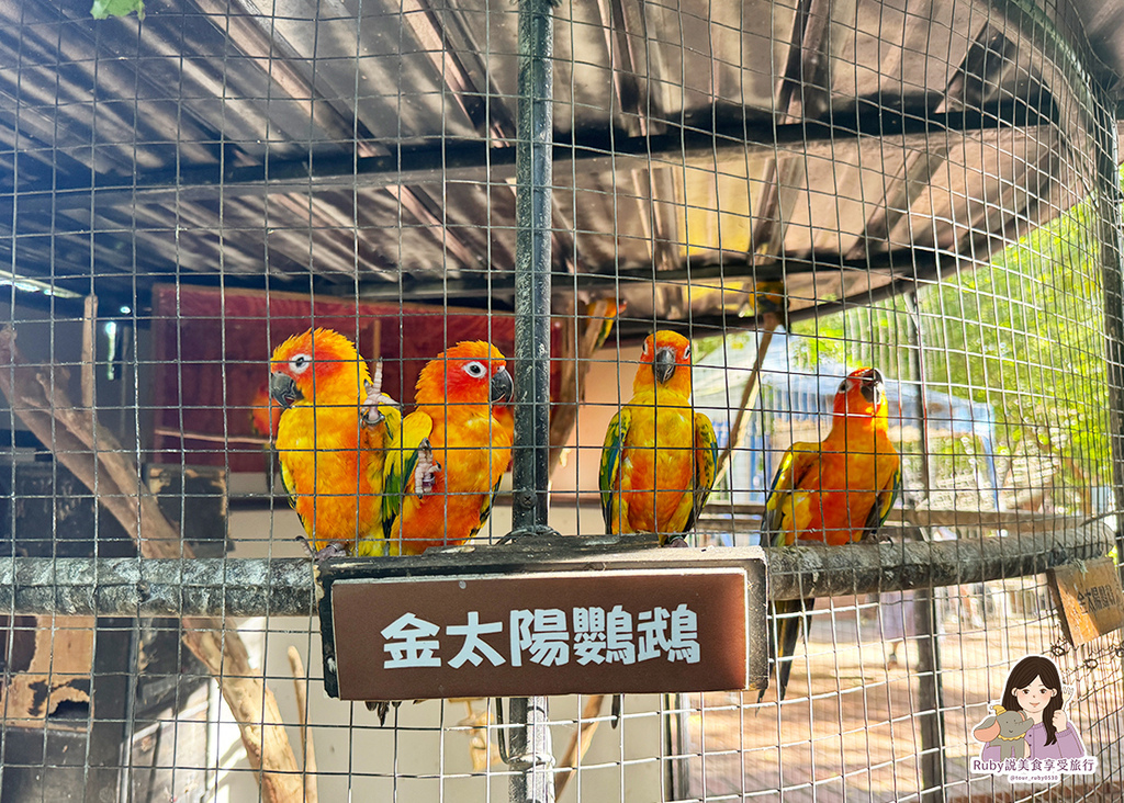 【台南親子農場】樹谷農場只需60元,園區許多付費遊樂設施,可 【台南親子農場】樹谷農場只需60元,園區許多付費遊樂設施,可