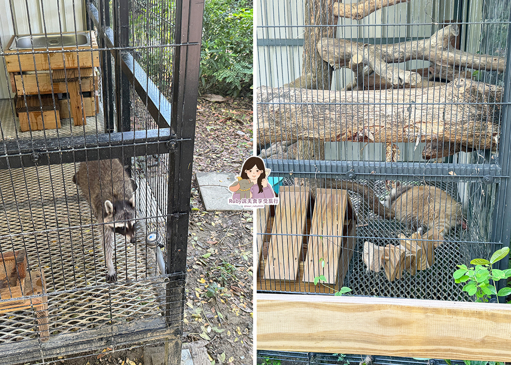 【台南親子農場】樹谷農場只需60元,園區許多付費遊樂設施,可 【台南親子農場】樹谷農場只需60元,園區許多付費遊樂設施,可