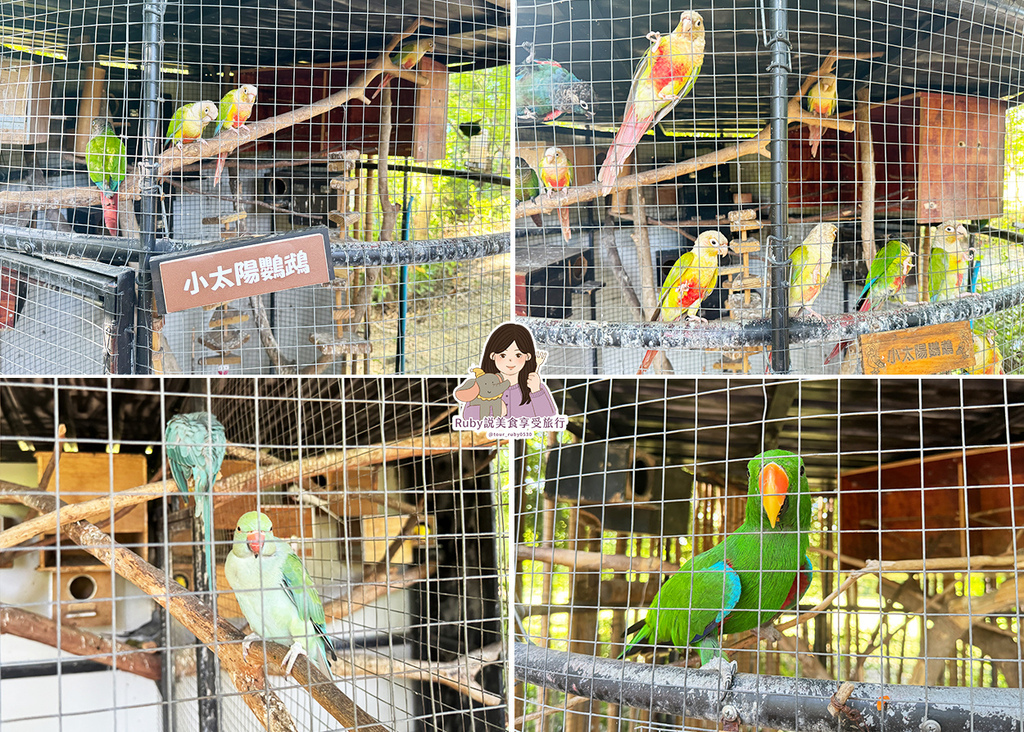 【台南親子農場】樹谷農場只需60元,園區許多付費遊樂設施,可 【台南親子農場】樹谷農場只需60元,園區許多付費遊樂設施,可