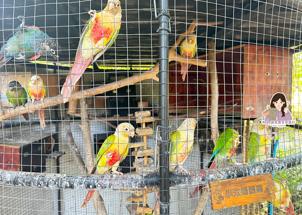 【台南親子農場】樹谷農場只需60元,園區許多付費遊樂設施,可 【台南親子農場】樹谷農場只需60元,園區許多付費遊樂設施,可