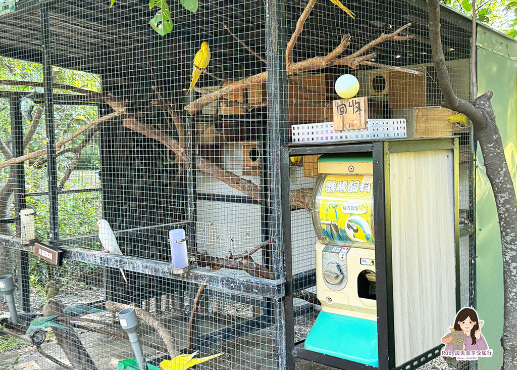 【台南親子農場】樹谷農場只需60元,園區許多付費遊樂設施,可 【台南親子農場】樹谷農場只需60元,園區許多付費遊樂設施,可