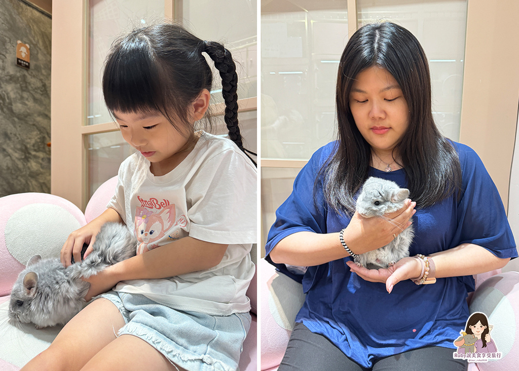 【南港龍貓咖啡廳】悠悠龍貓咖啡 -全台第一間龍貓互動餐廳,