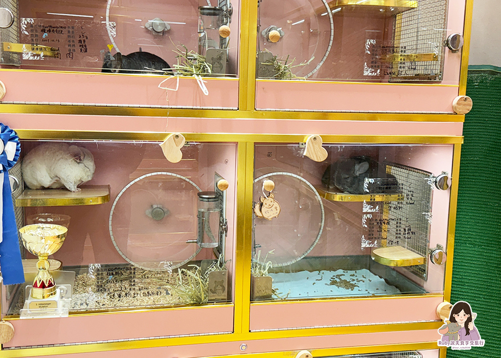 【南港龍貓咖啡廳】悠悠龍貓咖啡 -全台第一間龍貓互動餐廳,