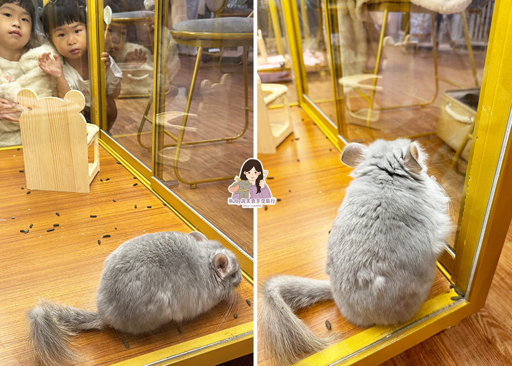 【南港龍貓咖啡廳】悠悠龍貓咖啡 -全台第一間龍貓互動餐廳,