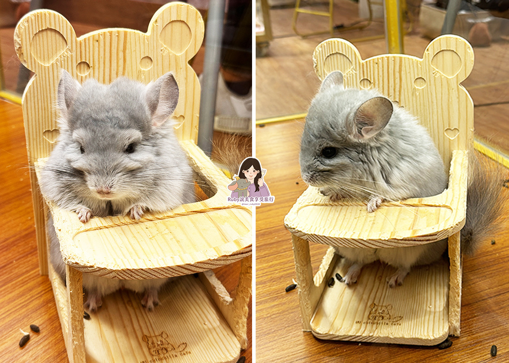 【南港龍貓咖啡廳】悠悠龍貓咖啡 -全台第一間龍貓互動餐廳,