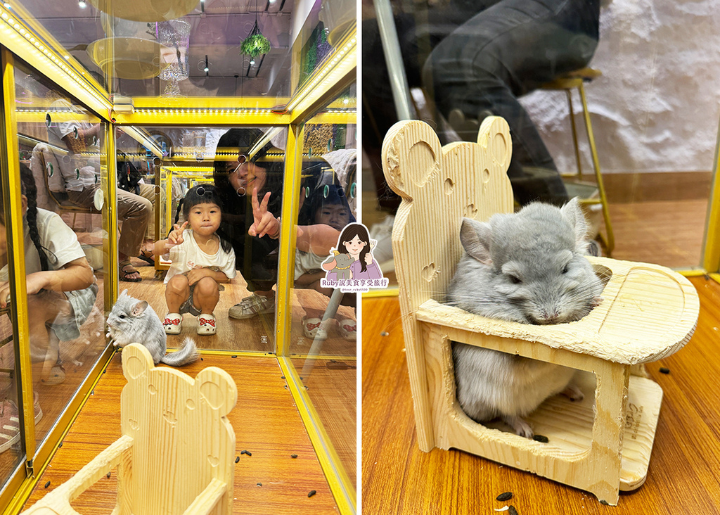 【南港龍貓咖啡廳】悠悠龍貓咖啡 -全台第一間龍貓互動餐廳,