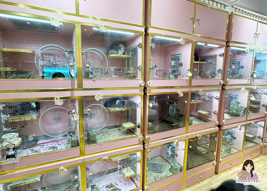 【南港龍貓咖啡廳】悠悠龍貓咖啡 -全台第一間龍貓互動餐廳,