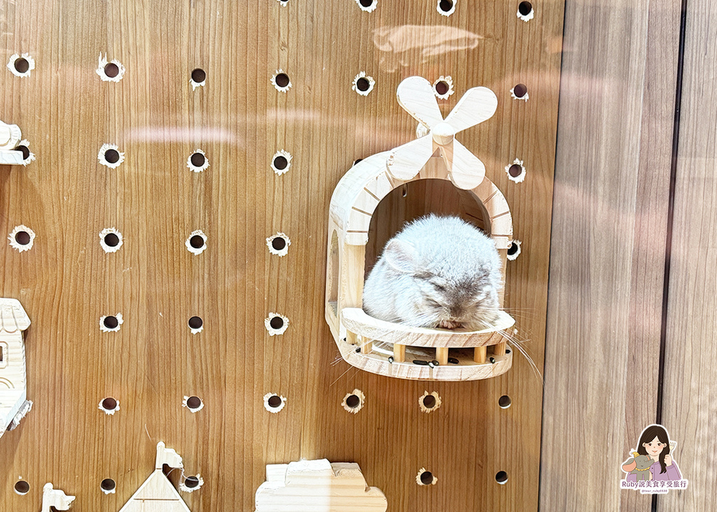 【南港龍貓咖啡廳】悠悠龍貓咖啡 -全台第一間龍貓互動餐廳,