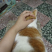 2011_0721_0005.jpg 2011_0721_0005.jpg