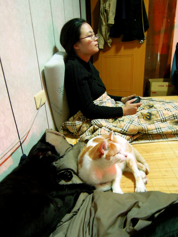 照片-013.jpg 照片-013.jpg
