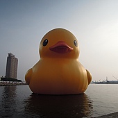 2013.1009_7 2013.1009_7