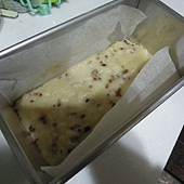 DSCN2147 DSCN2147