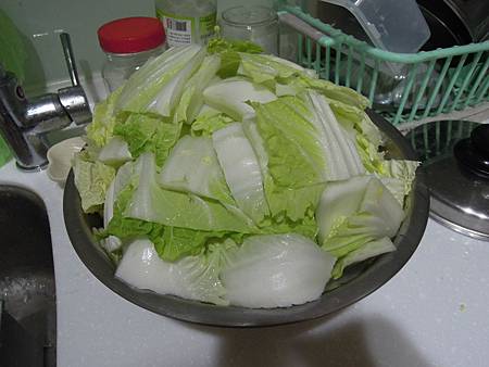 DSCN2234 DSCN2234